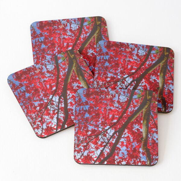 Item preview, Autumn Colour At Westonbirt designed and sold by Alisonchambers2.