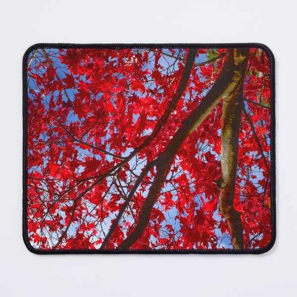 Item preview, Autumn Colour At Westonbirt designed and sold by Alisonchambers2.