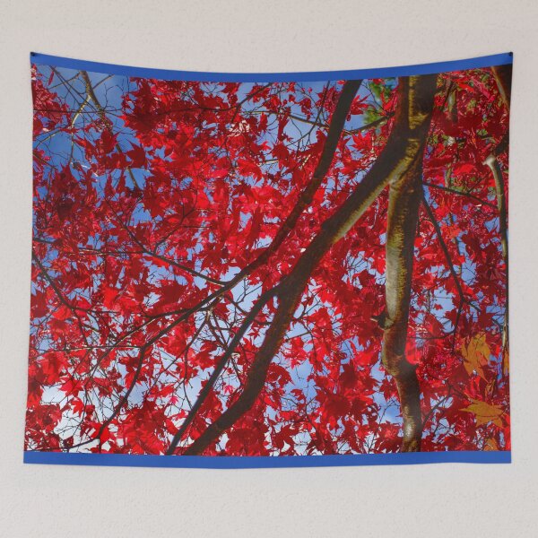 Item preview, Autumn Colour At Westonbirt designed and sold by Alisonchambers2.