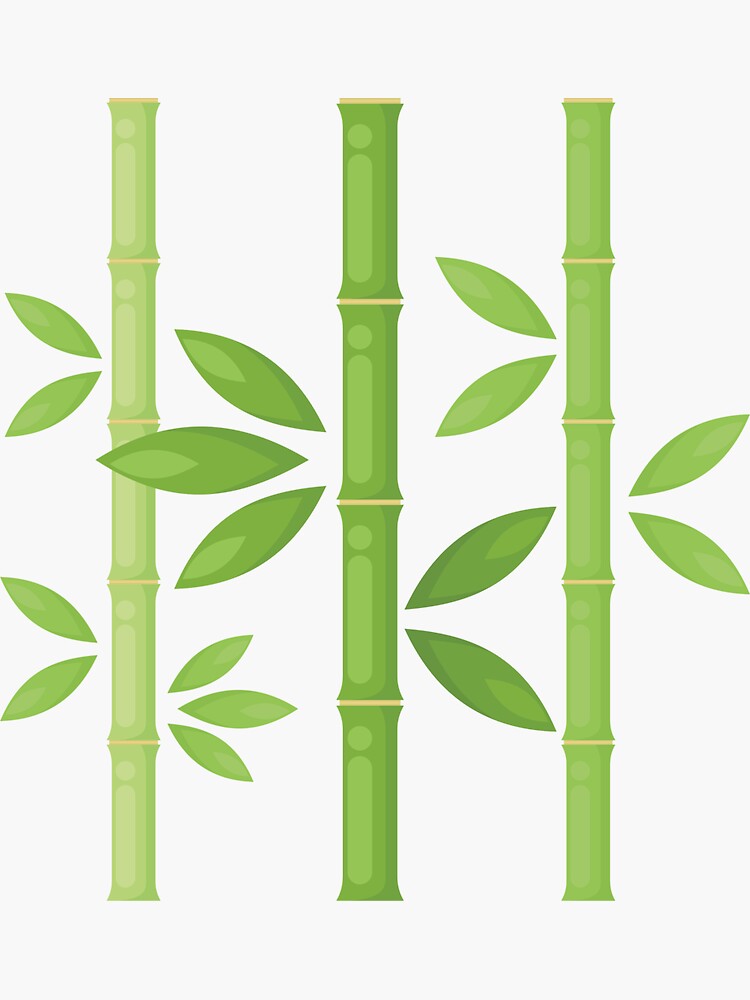 Shop - SVG Bamboo