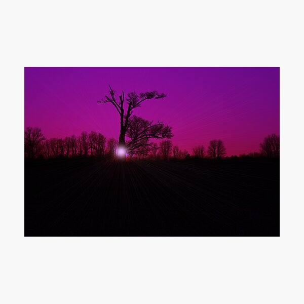 Entish Sunset Purple Haze Photographic Print