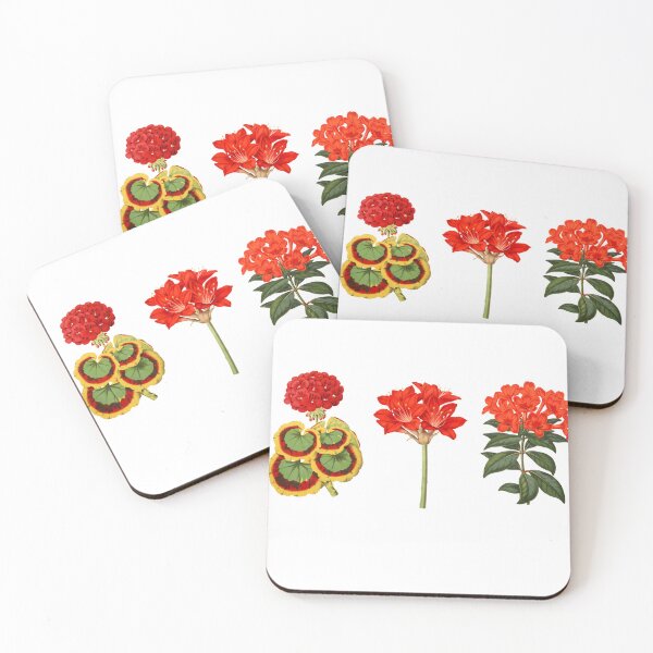 Item preview, Three Red Flowers Botanical Sketch Illustration designed and sold by Coastal Garden Design Studio.