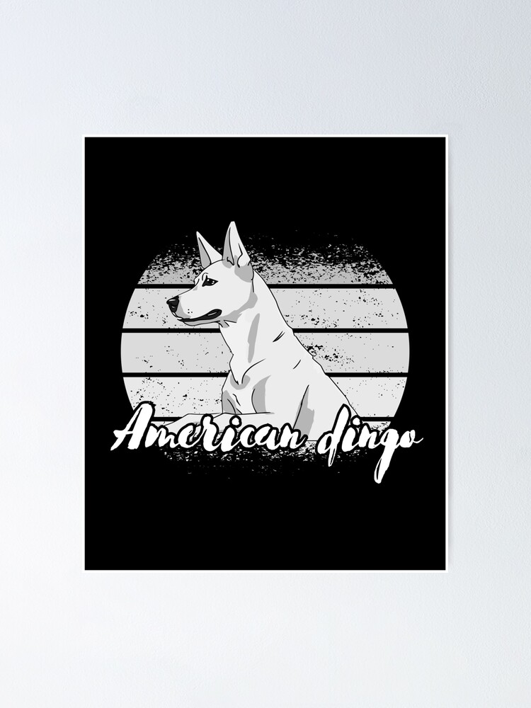 American dingo Poster