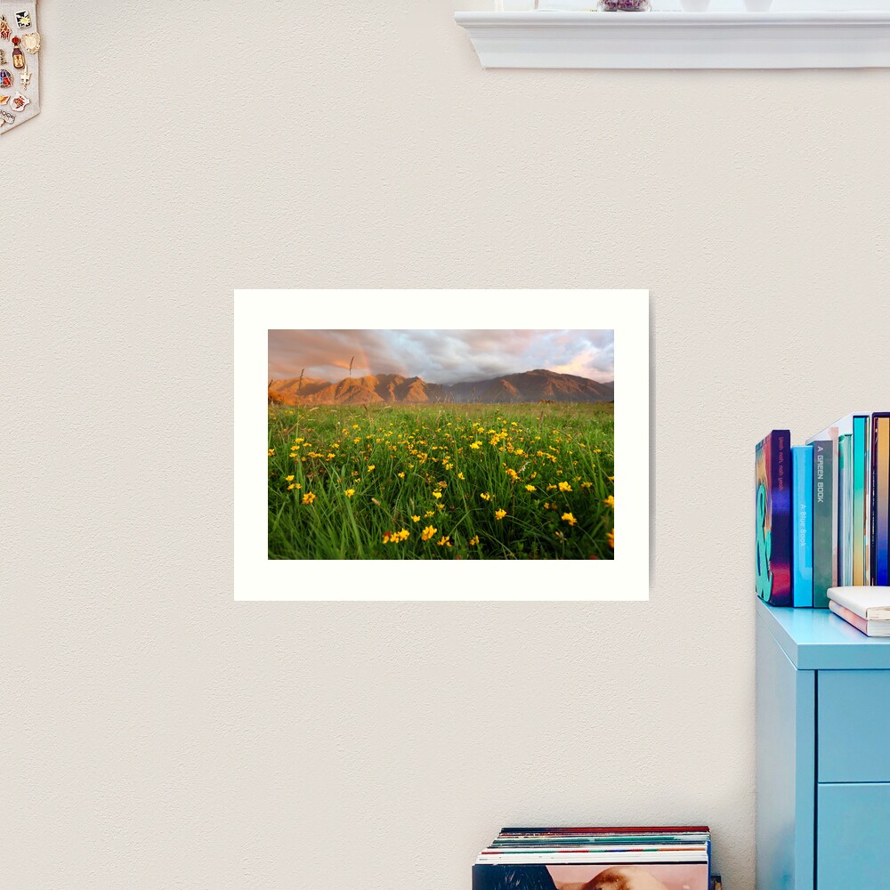 Wild Flowers, Fox Glacier Valley, South Island, New Zealand Art Print