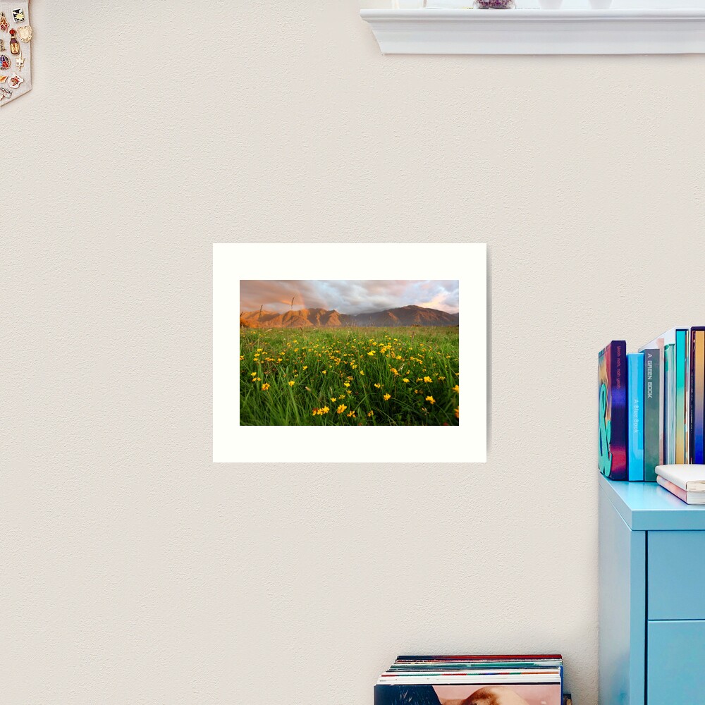 Wild Flowers, Fox Glacier Valley, South Island, New Zealand Art Print