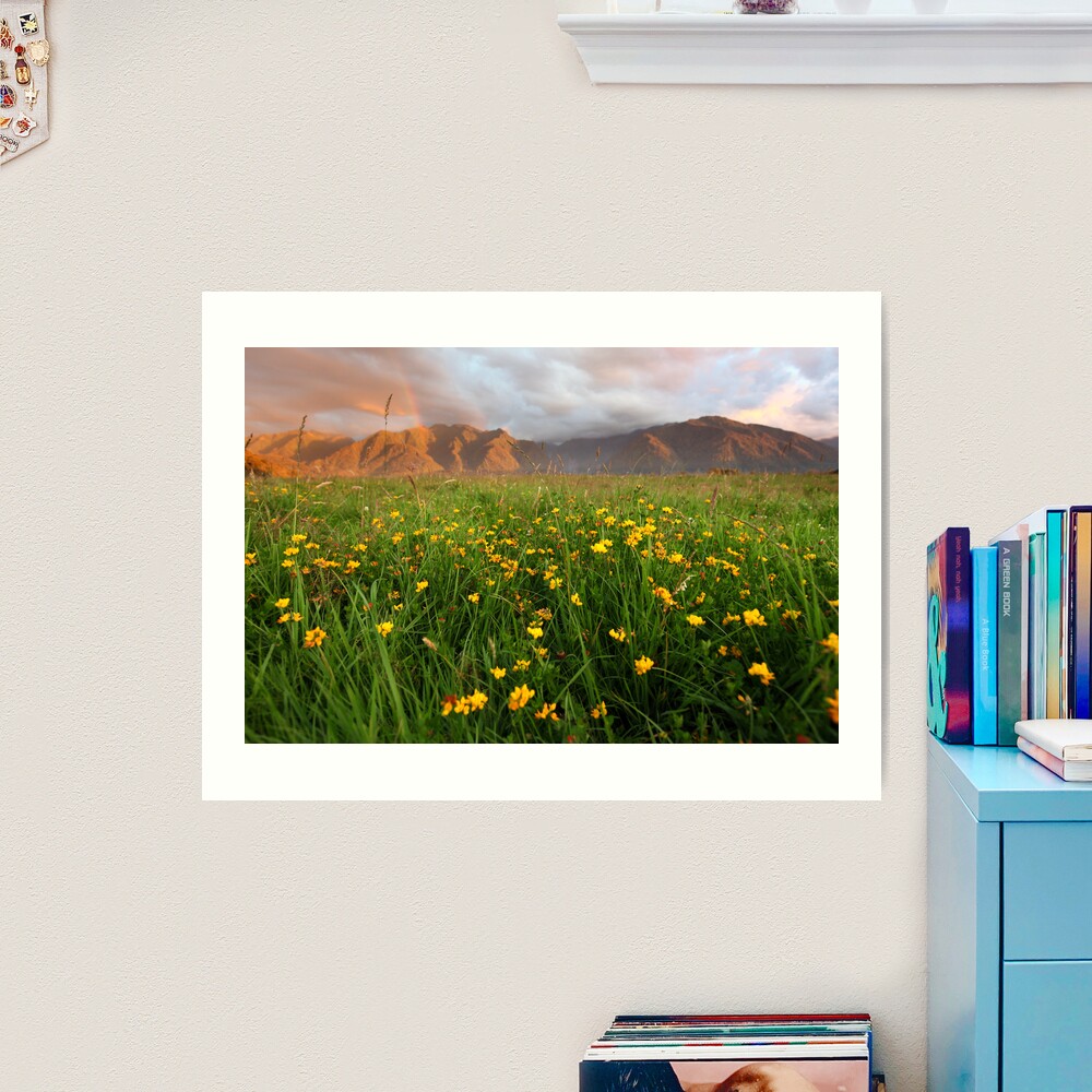 Wild Flowers, Fox Glacier Valley, South Island, New Zealand Art Print