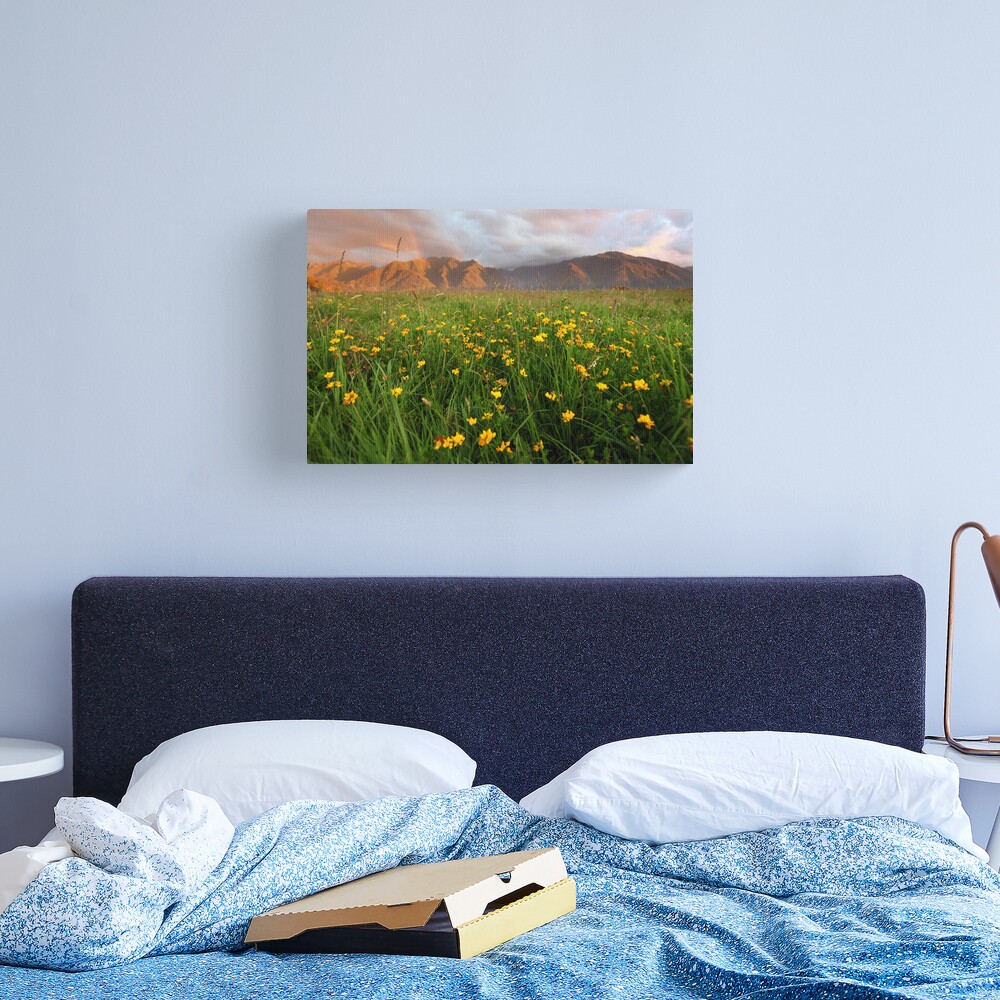 Wild Flowers, Fox Glacier Valley, South Island, New Zealand Canvas Print
