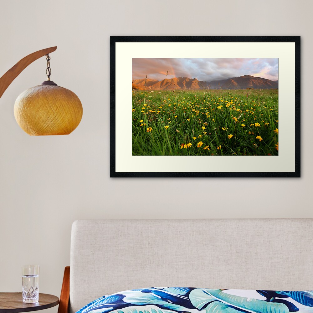 Wild Flowers, Fox Glacier Valley, South Island, New Zealand Framed Art Print