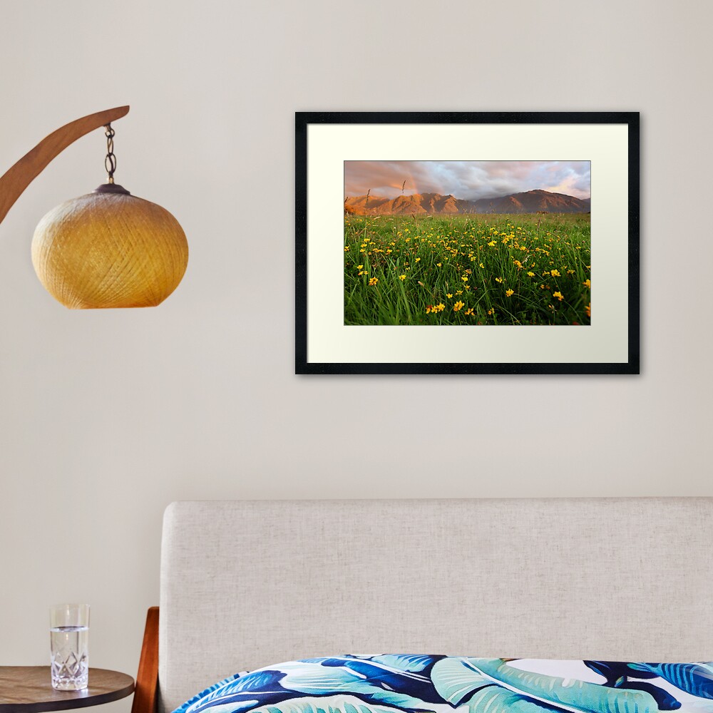 Wild Flowers, Fox Glacier Valley, South Island, New Zealand Framed Art Print
