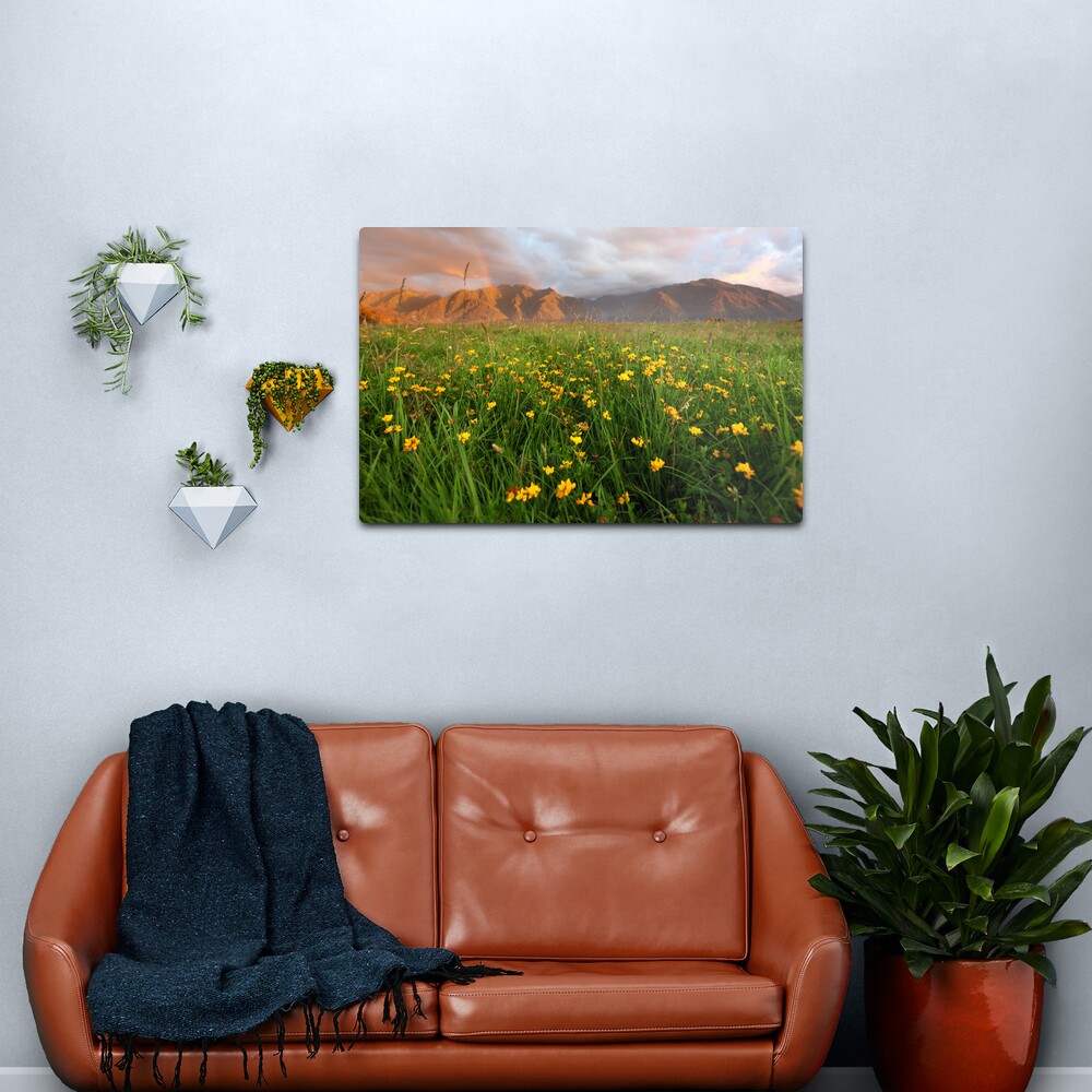 Wild Flowers, Fox Glacier Valley, South Island, New Zealand Metal Print