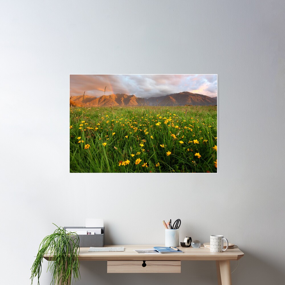 Wild Flowers, Fox Glacier Valley, South Island, New Zealand Poster