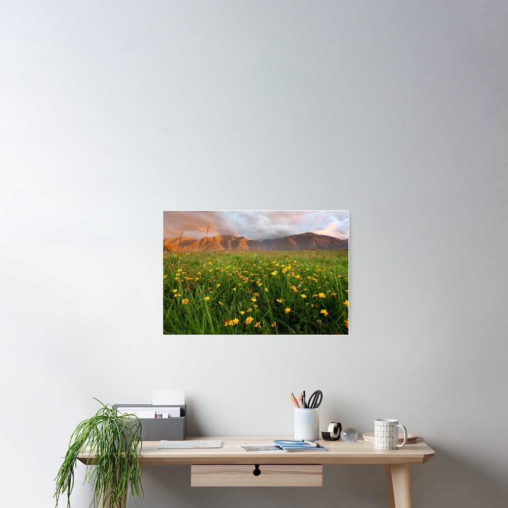 Wild Flowers, Fox Glacier Valley, South Island, New Zealand Poster