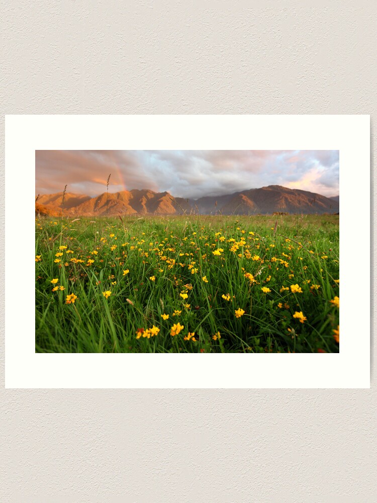 Alternate view of Wild Flowers, Fox Glacier Valley, South Island, New Zealand Art Print