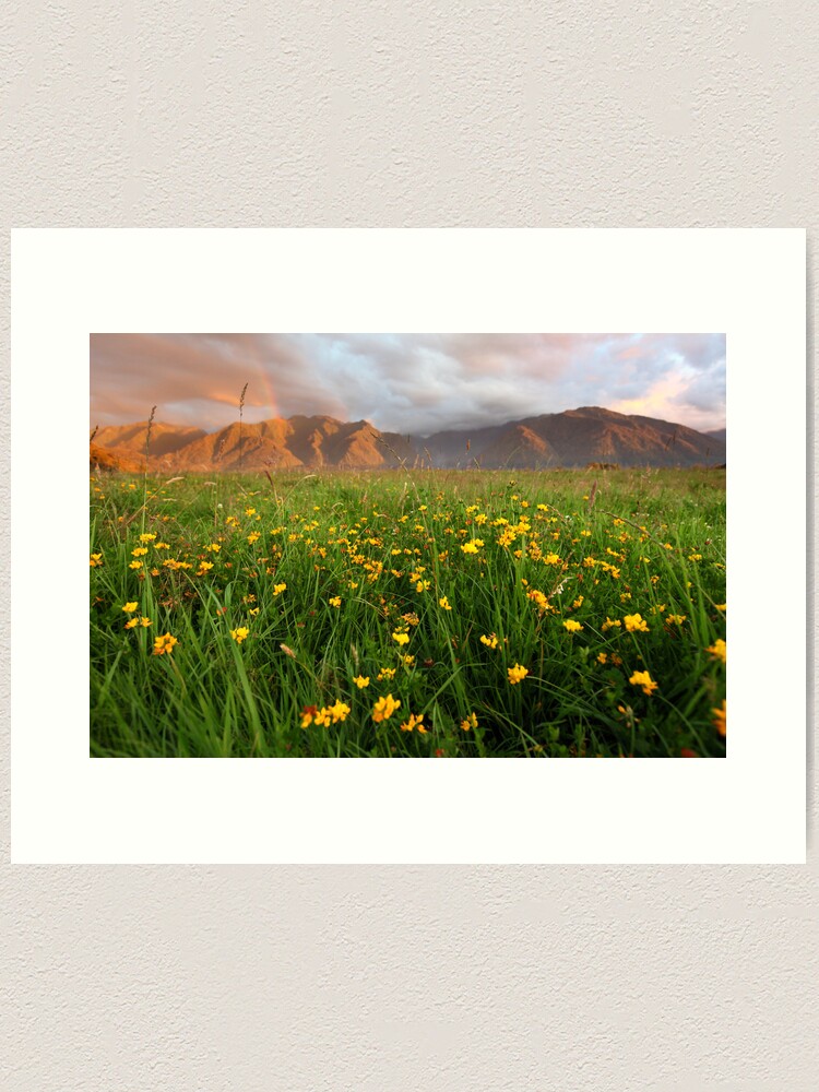 Alternate view of Wild Flowers, Fox Glacier Valley, South Island, New Zealand Art Print
