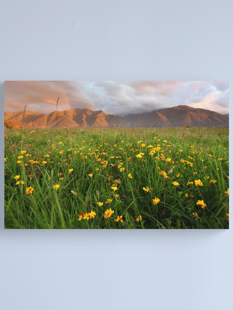 Alternate view of Wild Flowers, Fox Glacier Valley, South Island, New Zealand Canvas Print