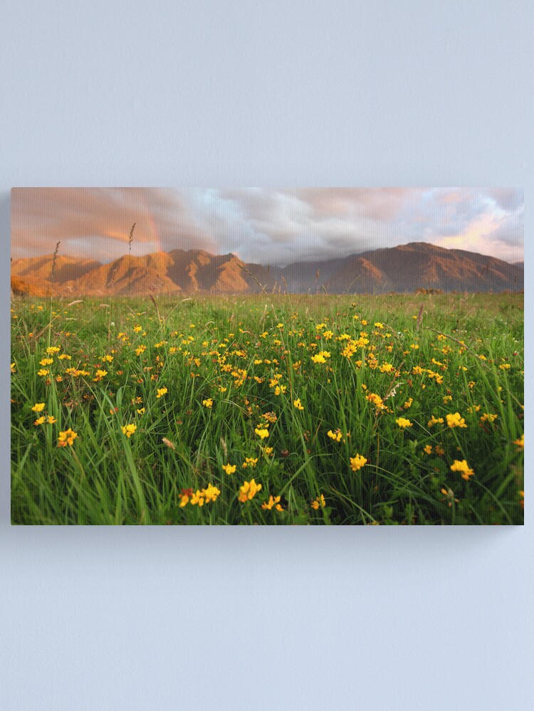 Alternate view of Wild Flowers, Fox Glacier Valley, South Island, New Zealand Canvas Print