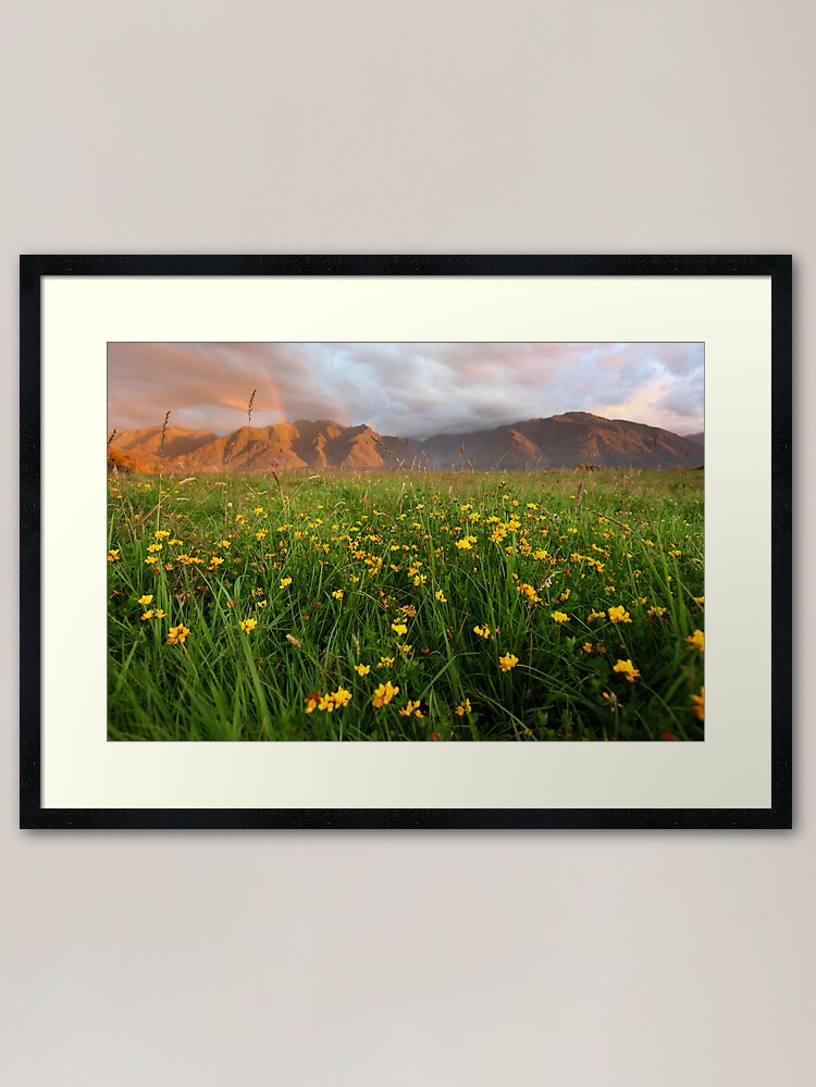 Alternate view of Wild Flowers, Fox Glacier Valley, South Island, New Zealand Framed Art Print