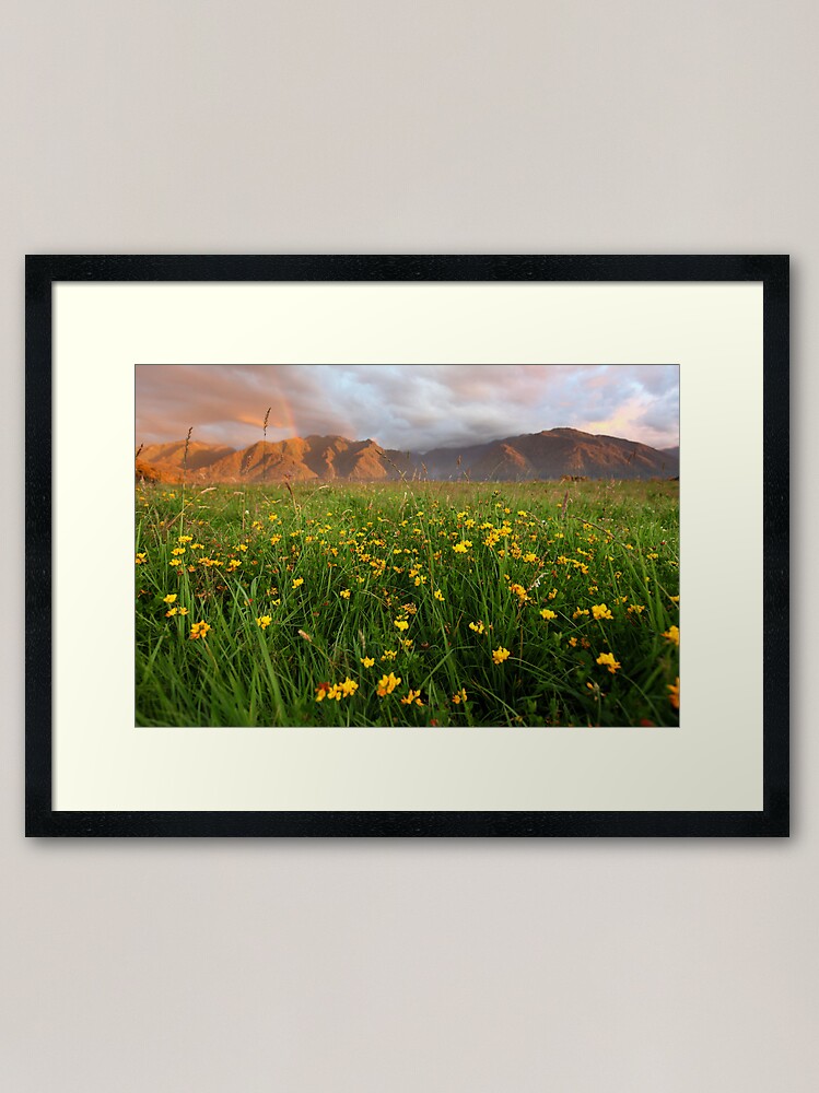 Alternate view of Wild Flowers, Fox Glacier Valley, South Island, New Zealand Framed Art Print