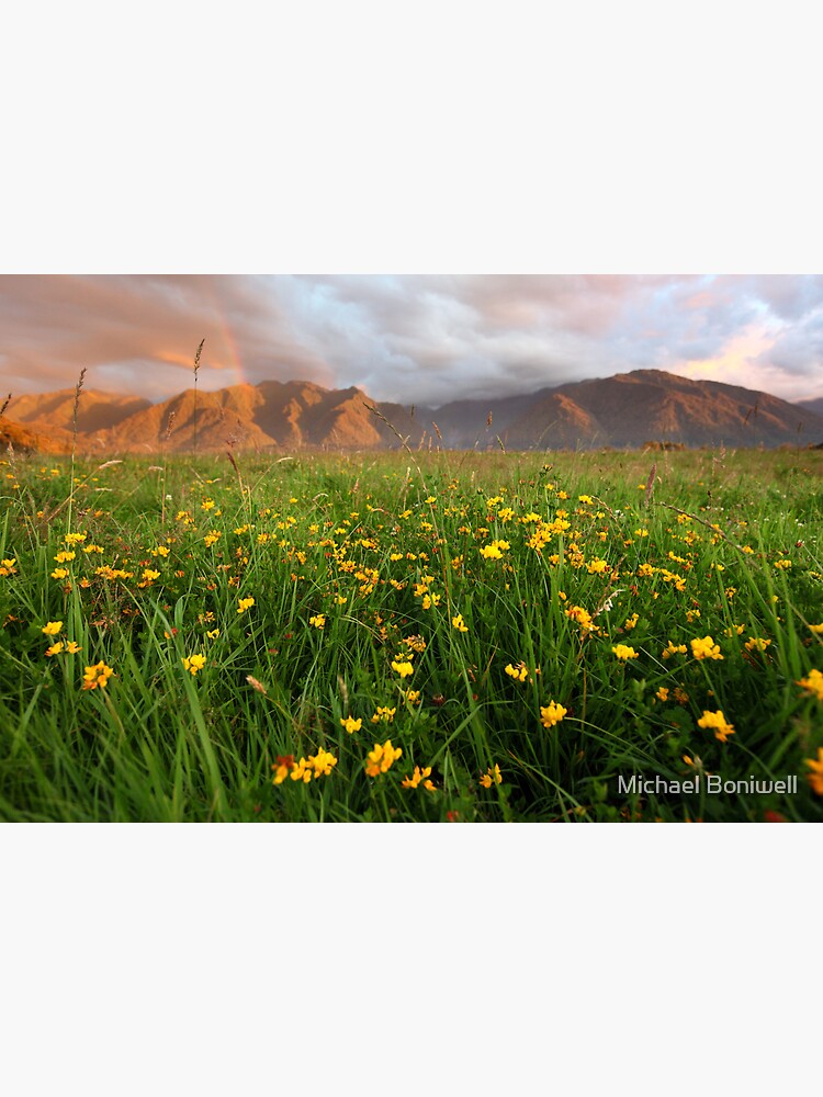 Wild Flowers, Fox Glacier Valley, South Island, New Zealand by Chockstone