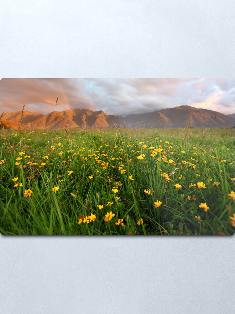 Alternate view of Wild Flowers, Fox Glacier Valley, South Island, New Zealand Metal Print