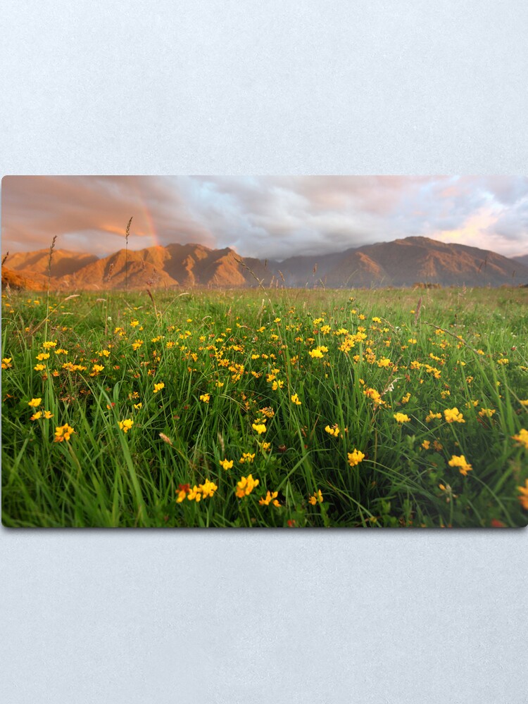 Alternate view of Wild Flowers, Fox Glacier Valley, South Island, New Zealand Metal Print