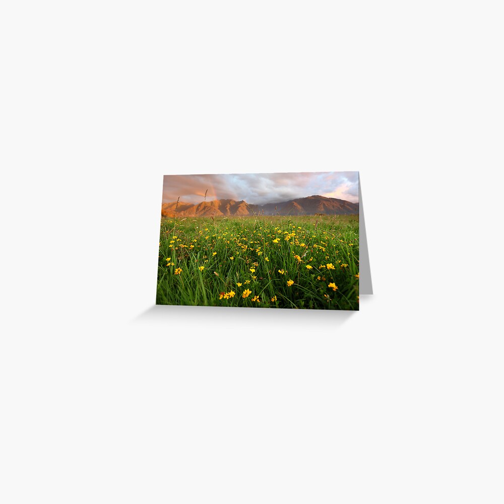 Wild Flowers, Fox Glacier Valley, South Island, New Zealand Greeting Card