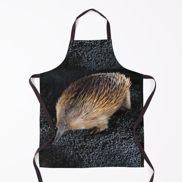 Item preview, vr 3449 / finition 2023 - 18 - " Jardin des Plantes Paris "  Échidné à nez court et La Grande évolution "  - Okaio Créations  Olavia-Olao designed and sold by o.okaïo.