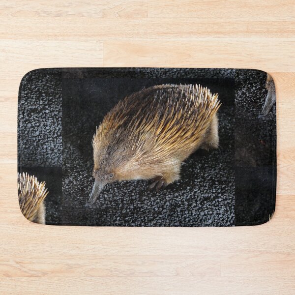 Item preview, vr 3449 / finition 2023 - 18 - " Jardin des Plantes Paris "  Échidné à nez court et La Grande évolution "  - Okaio Créations  Olavia-Olao designed and sold by o.okaïo.