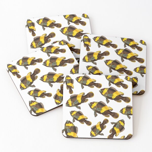 Item preview, Saddleback clownfish (amphipiron bifasciatus) designed and sold by TheRightHonMP.