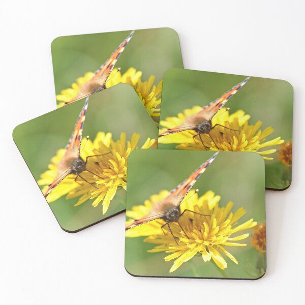 Item preview, Butterfly designed and sold by Calidris Fotografie Steffi & Ben Köppler.