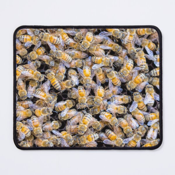 Item preview, Bees on honeycomb designed and sold by TheRightHonMP.