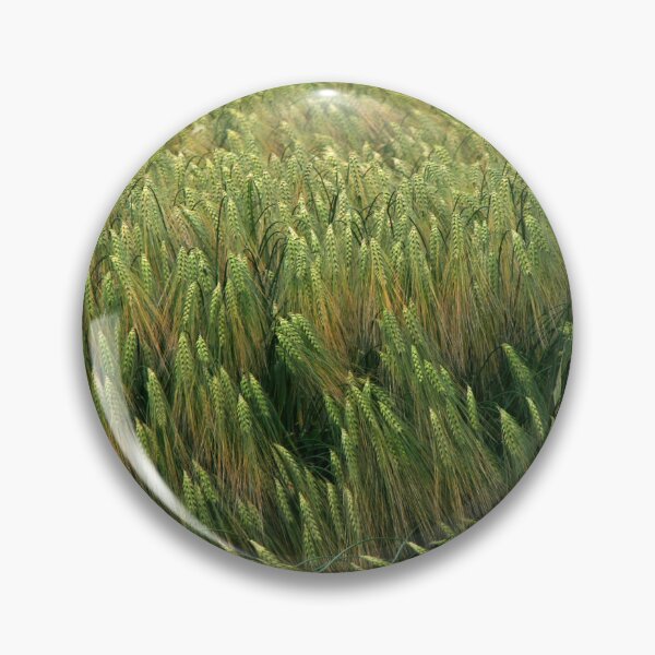Item preview, Barley designed and sold by Calidris Fotografie Steffi & Ben Köppler.