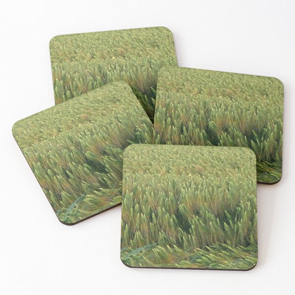 Item preview, Barley designed and sold by Calidris Fotografie Steffi & Ben Köppler.