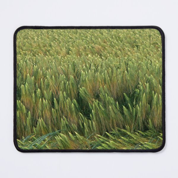 Item preview, Barley designed and sold by Calidris Fotografie Steffi & Ben Köppler.
