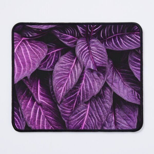 Item preview, Pattern: persian shield gothic plant designed and sold by VonLogaart.