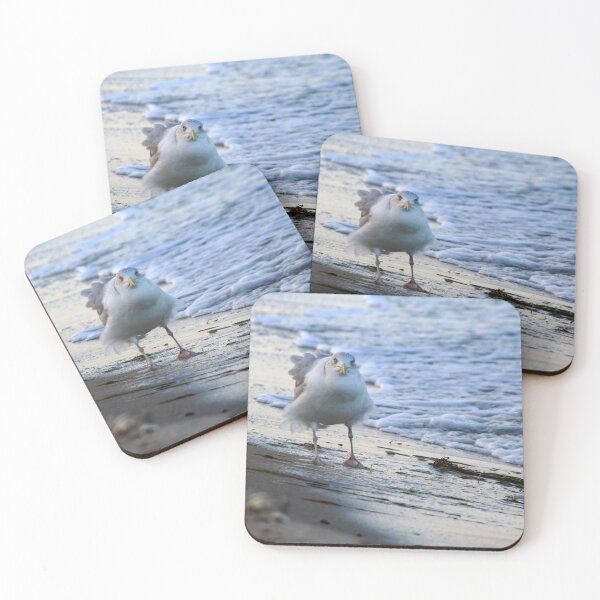 Item preview, I hate this wind! designed and sold by Calidris Fotografie Steffi & Ben Köppler.
