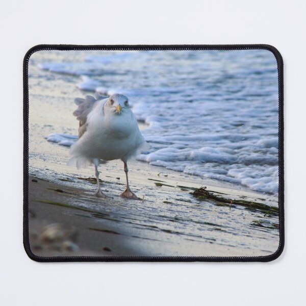 Item preview, I hate this wind! designed and sold by Calidris Fotografie Steffi & Ben Köppler.