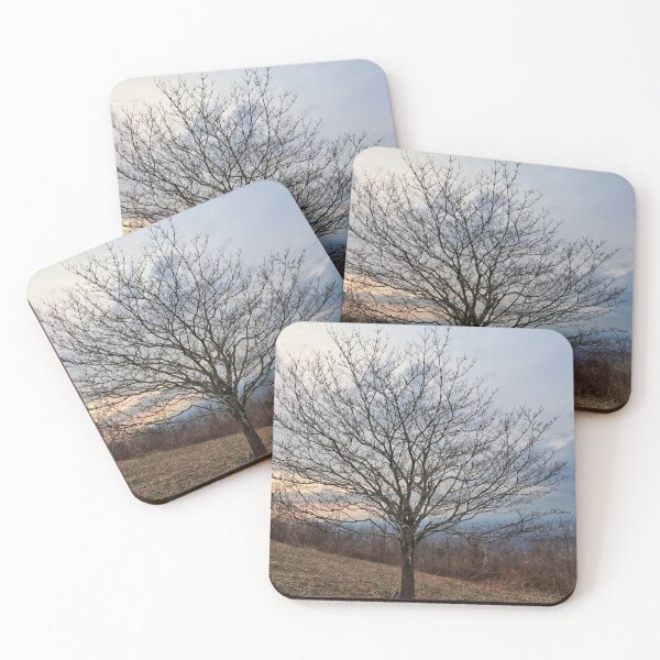 Item preview, Shenandoah National Park #1 designed and sold by Rachel Jeffrey.