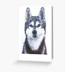 Husky portrait Greeting Card