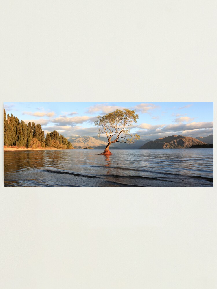 Photographic Print, Lake Wanaka, South Island, New Zealand designed and sold by Michael Boniwell