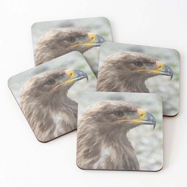 Item preview, Steppe Eagle designed and sold by Calidris Fotografie Steffi & Ben Köppler.
