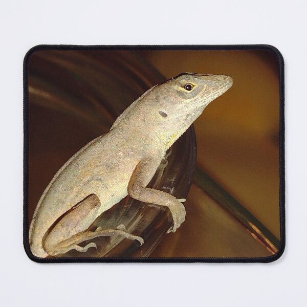Item preview, Brown Anole  designed and sold by RosetheOtter.