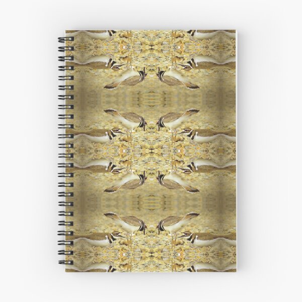 Item preview, Killdeer Reflections designed and sold by Jean Gregory Evans.