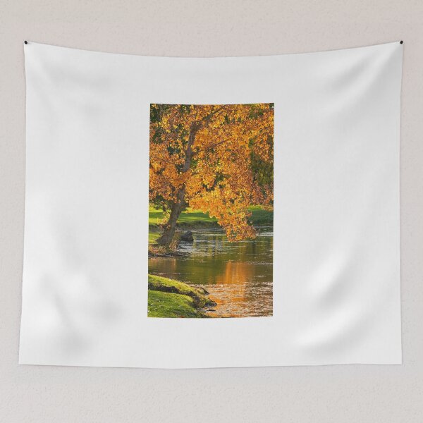 Item preview, Reflective Fall Colors designed and sold by fototaker Tony.
