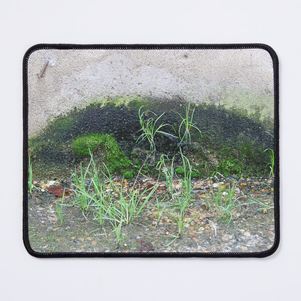 Item preview, Urban jungle. designed and sold by Paul Pasco.