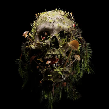 Artwork thumbnail, Mycophile by nicebleed