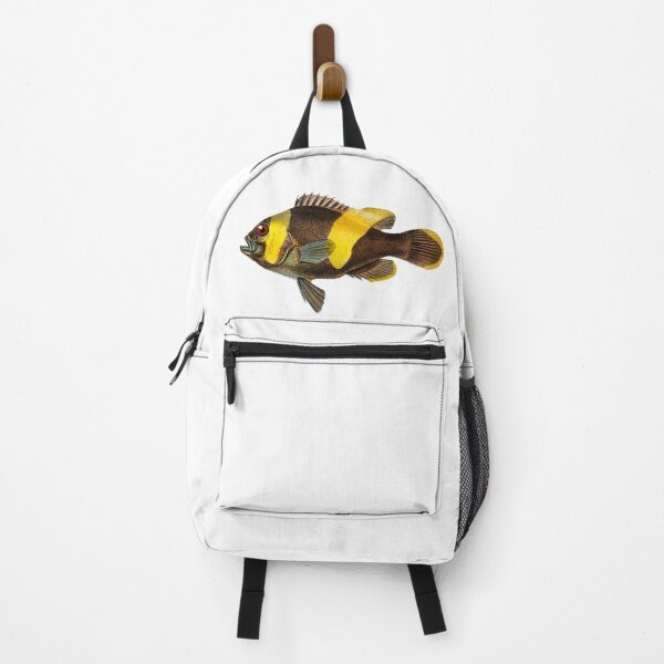 Item preview, Saddleback clownfish (amphipiron bifasciatus) designed and sold by TheRightHonMP.