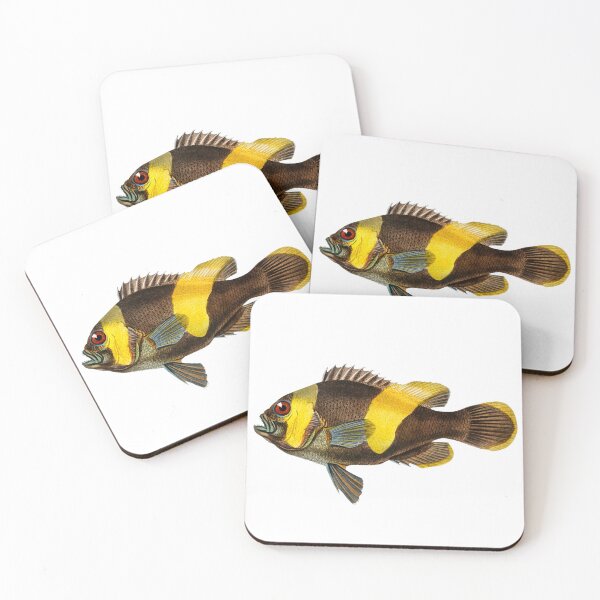 Item preview, Saddleback clownfish (amphipiron bifasciatus) designed and sold by TheRightHonMP.