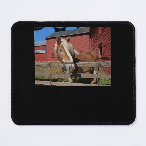 Item preview, I'm Mister Ed Classic designed and sold by leonilalinde.
