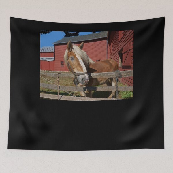 Item preview, I'm Mister Ed Classic designed and sold by leonilalinde.